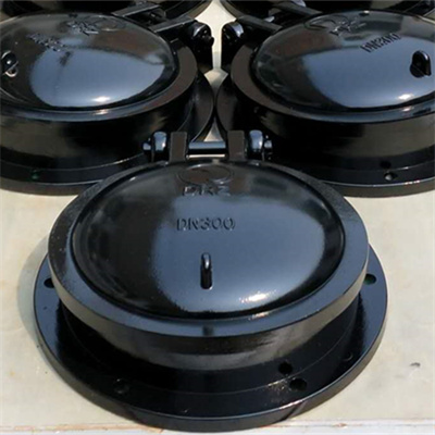 <b>玻璃钢拍门</b>